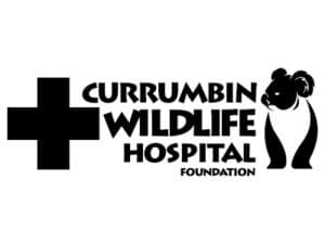 Currumbin wildlife - gold coast graphic design